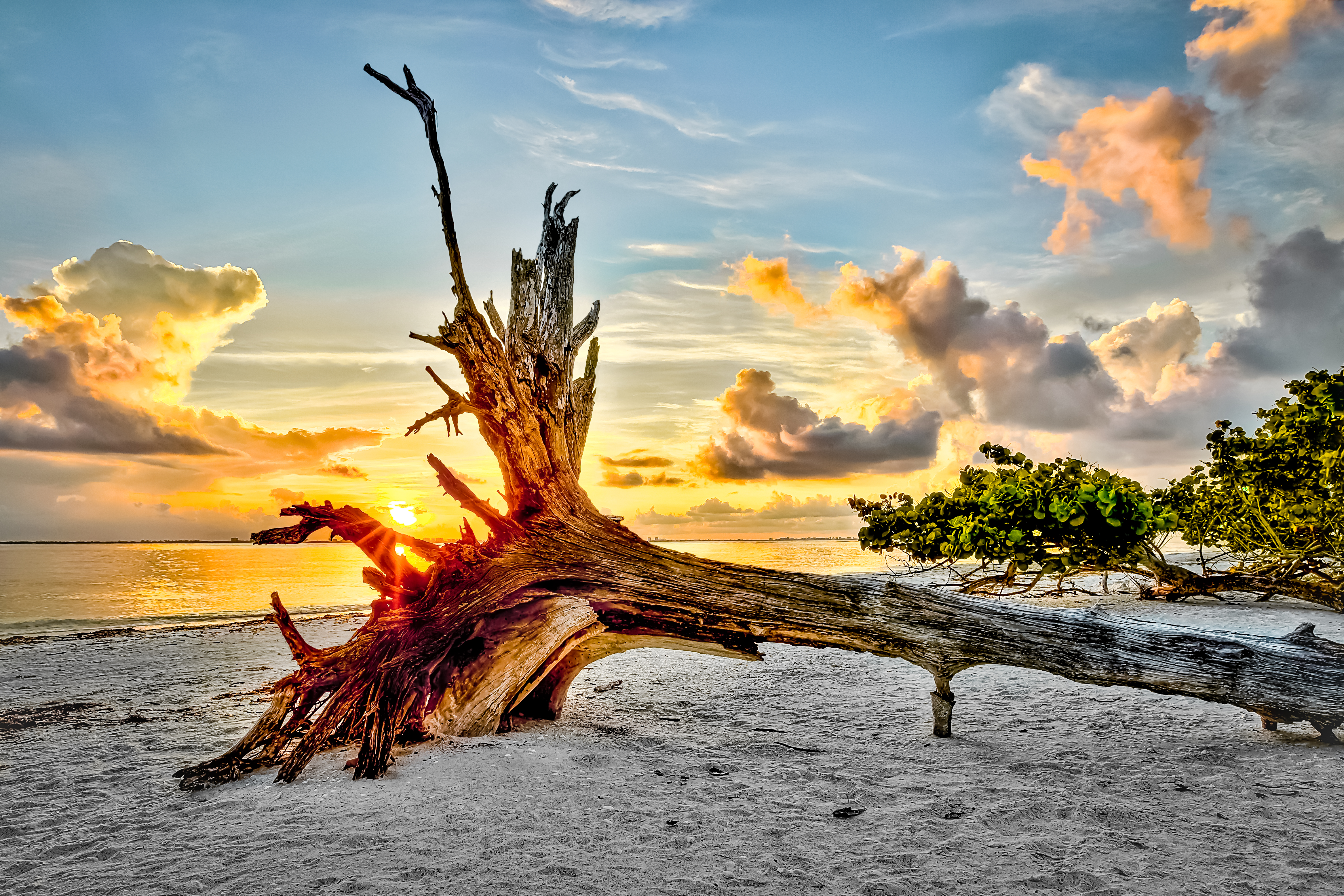 Sanibel Sunrise, Sanibel Island, Dennis Goodman