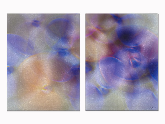 Ring Diptych