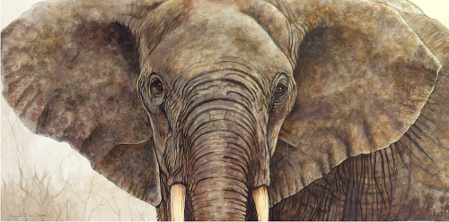 Close up realistic image of an African Elephant