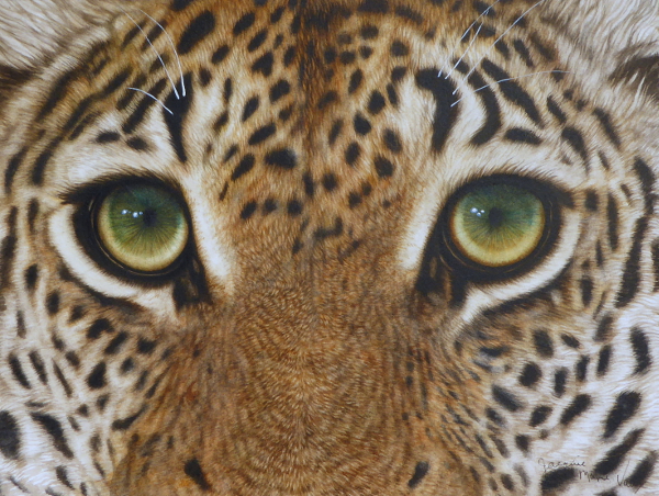 Close up realistic image of an African Leopard
