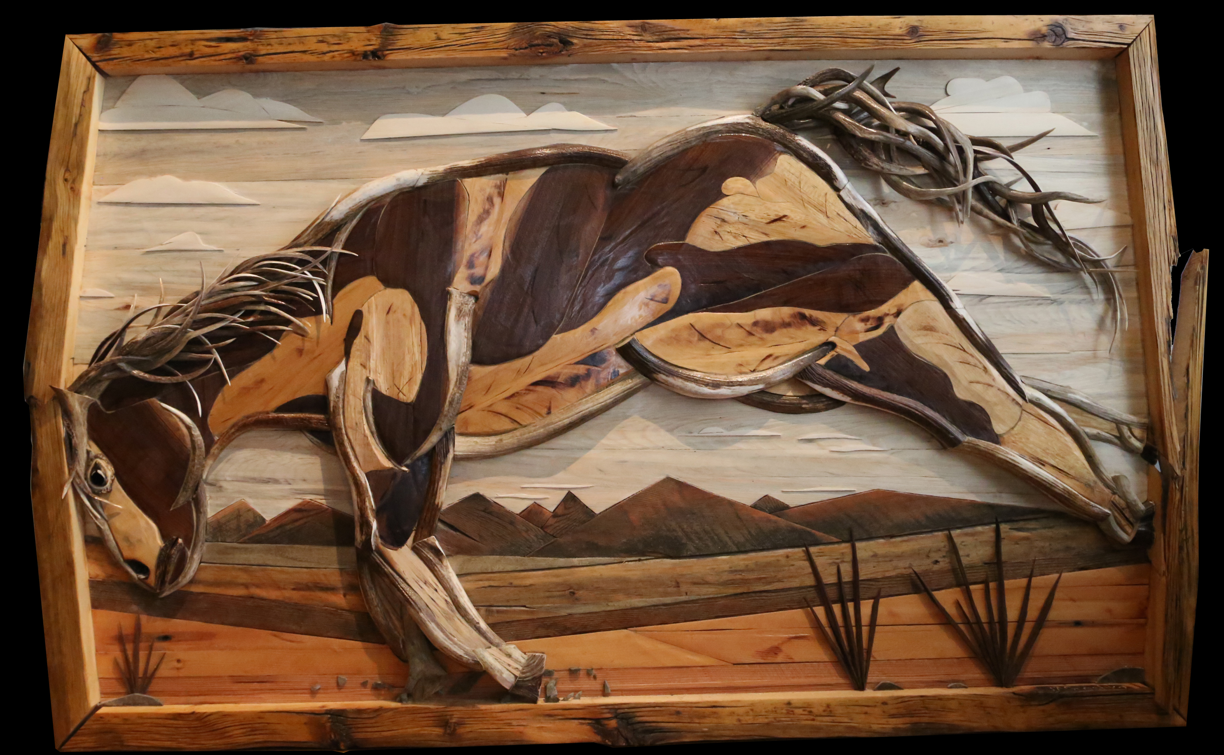 Bronco Horse art 