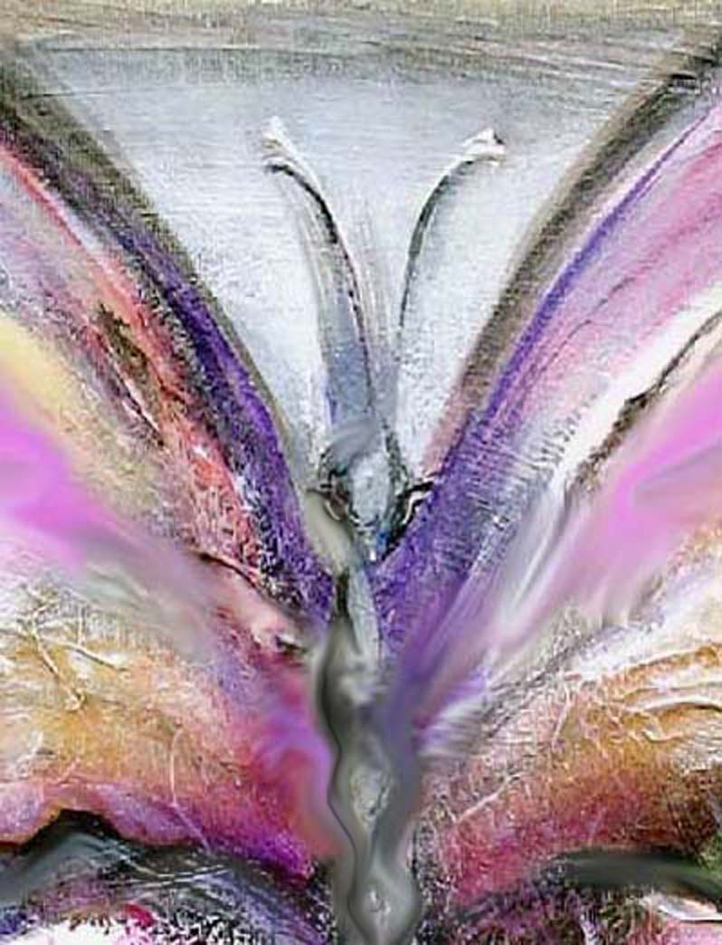 believe,butterfly, whimsical