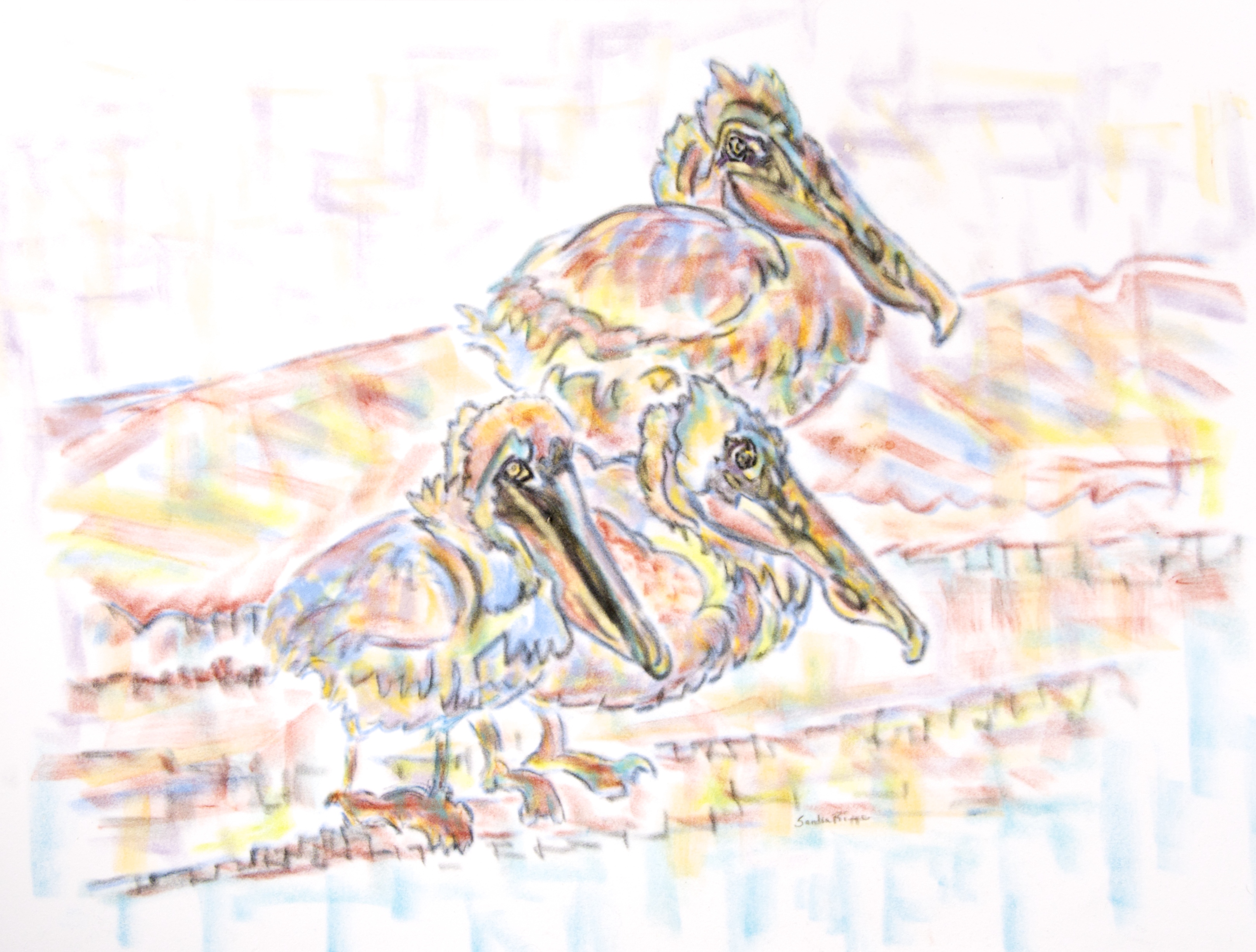 Three Pelicans