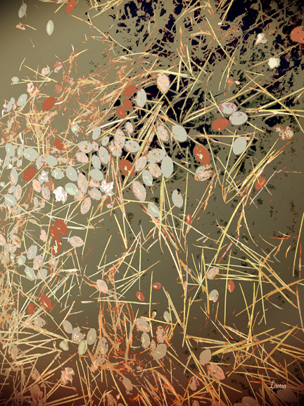 Grass Paper