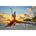 Sanibel Sunrise, Sanibel Island, Dennis Goodman