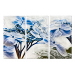 Blue Lace Top Hydrangea