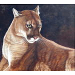 Cougar Painting