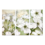 Flowering Pear Triptych