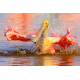 A Roseate Spoonbill splashes in the water, Sanibel FL 