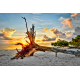 Sanibel Sunrise, Sanibel Island, Dennis Goodman