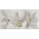 White Orchids