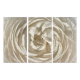 Persian Buttercup Triptych