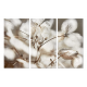White Hydrangea