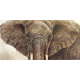 Close up realistic image of an African Elephant