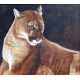 Cougar Painting