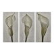 White Calla Lily