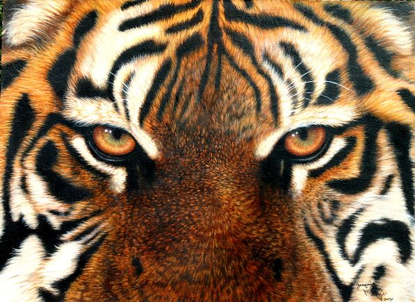 Closeup realistic Image of a Bengal Tiger