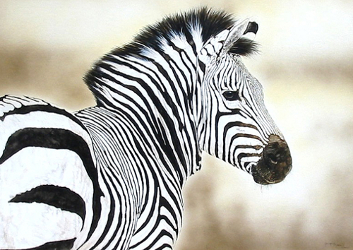 realistic image of an African Zebra
